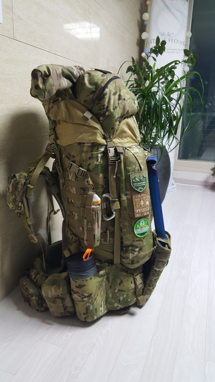 선자 이미지