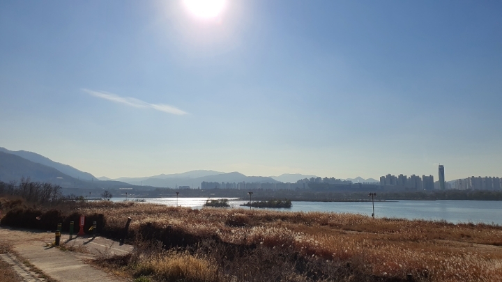 사루네 이미지