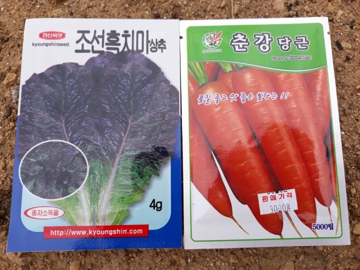 제일종묘사 이미지