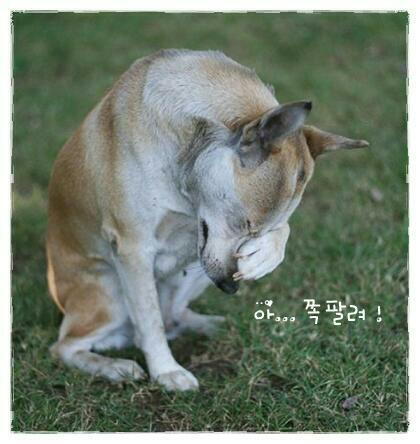 오늘도;전 이미지