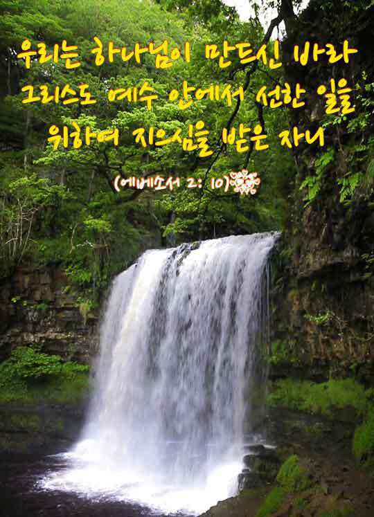 러브레타 이미지