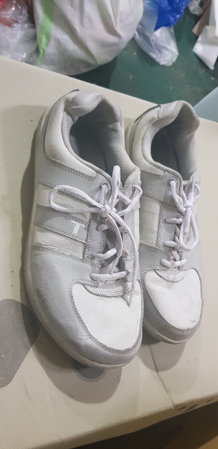 코치푸드 이미지