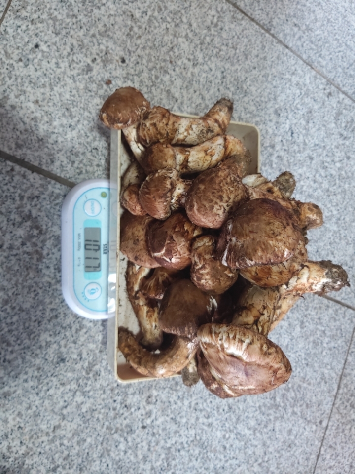 충의로67 이미지