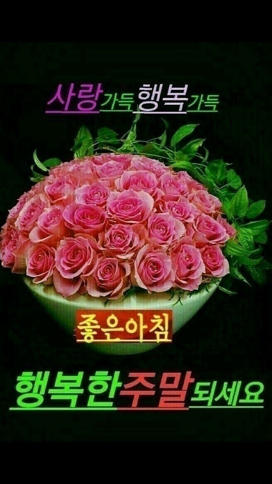 즐거운 이미지