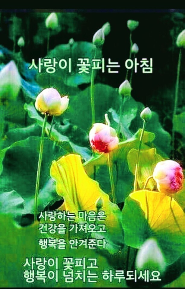 파출박사 이미지