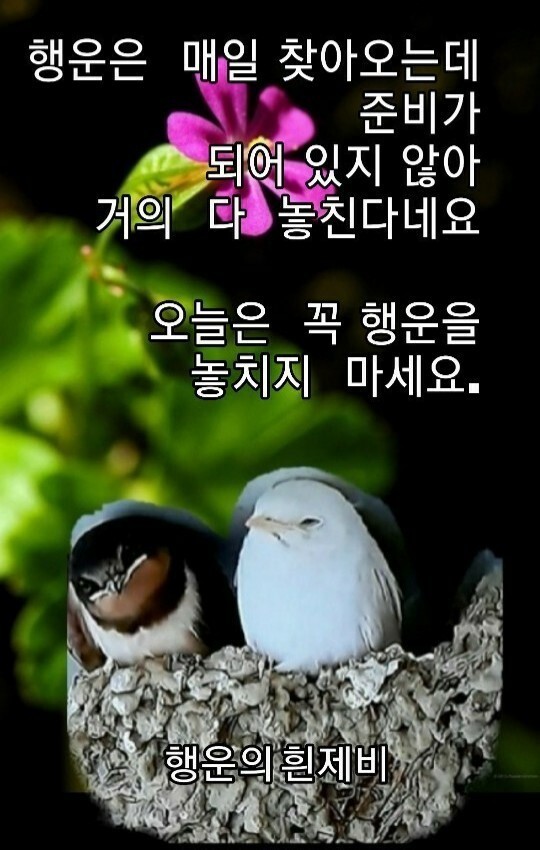 파출박사 이미지