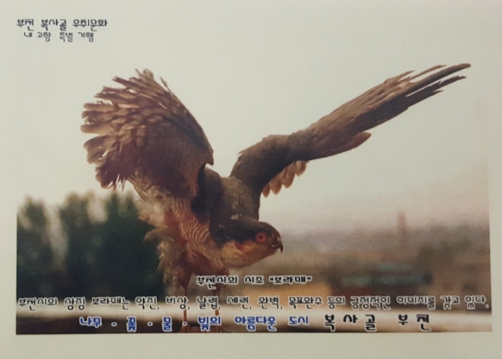 보라매 이미지