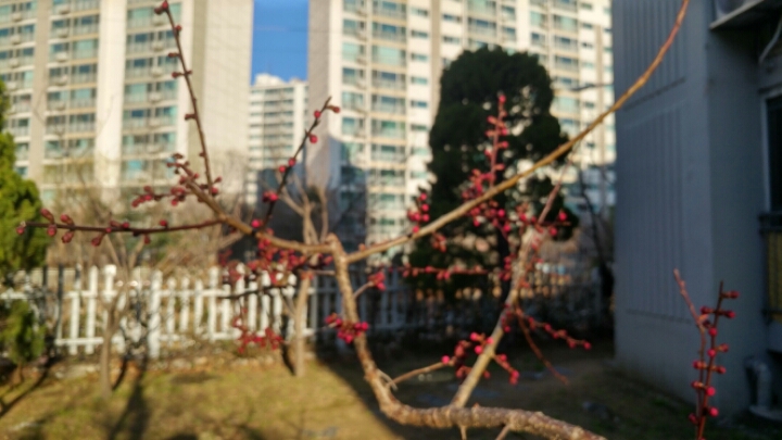 맑은 아침 이미지