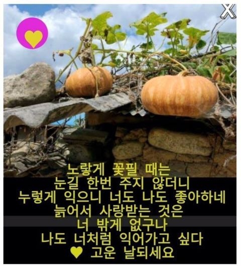 톡톡이네 이미지