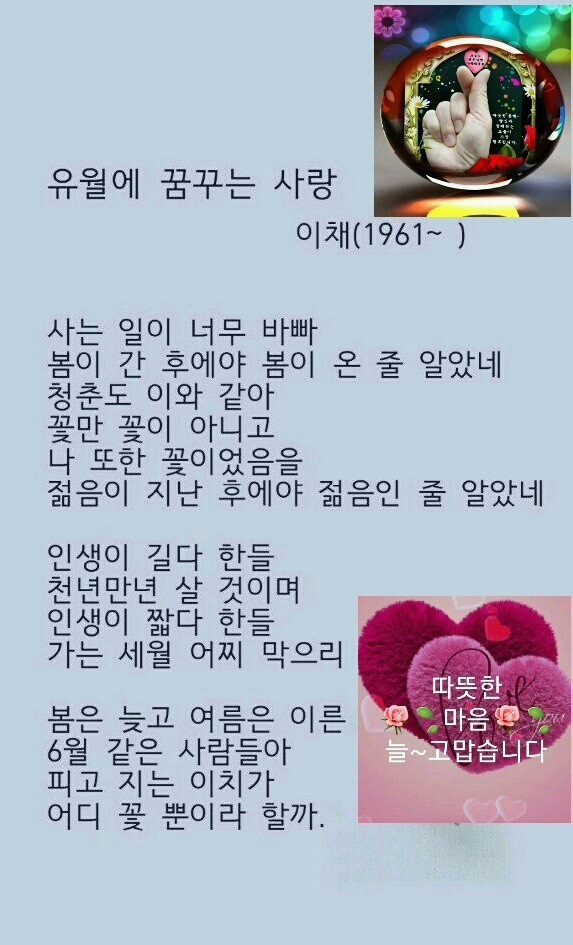 유월에 이미지