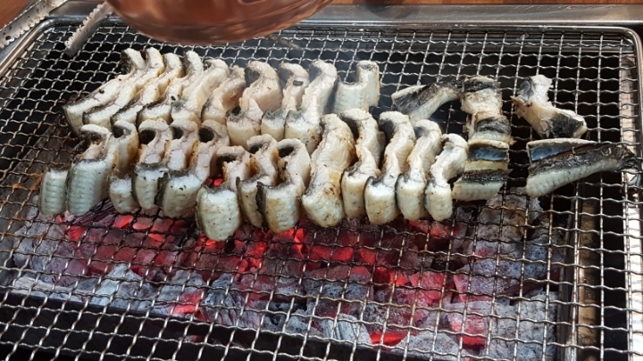 장어세상 이미지