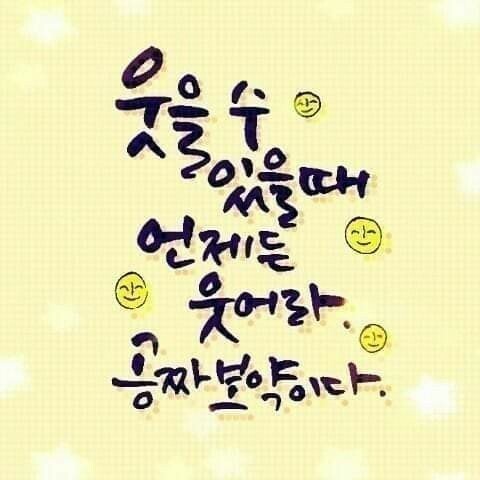 가목 이미지