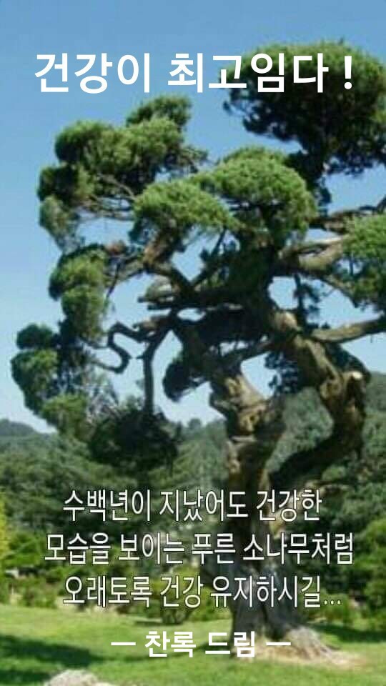 건강최고 이미지