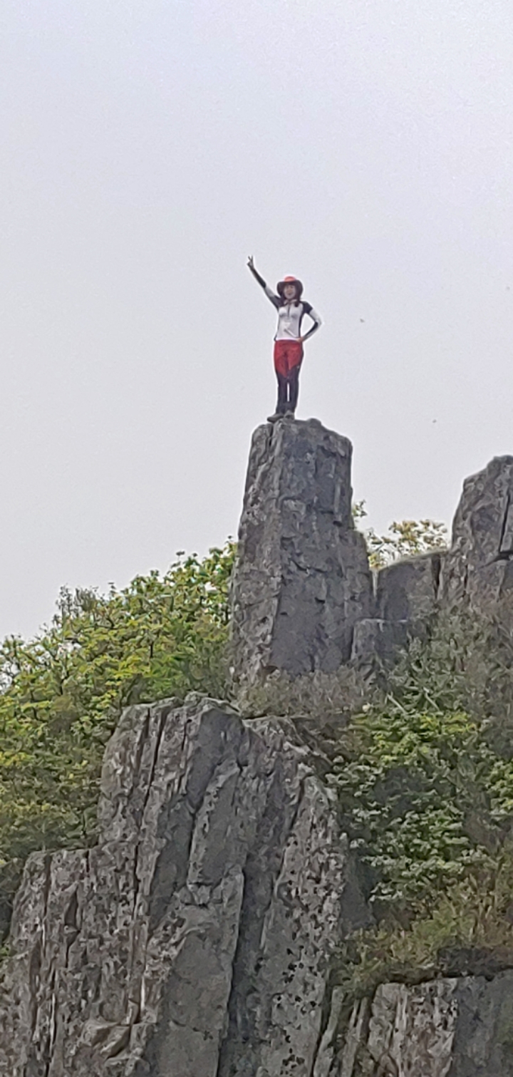 일림 이미지