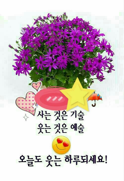 오블리제 이미지