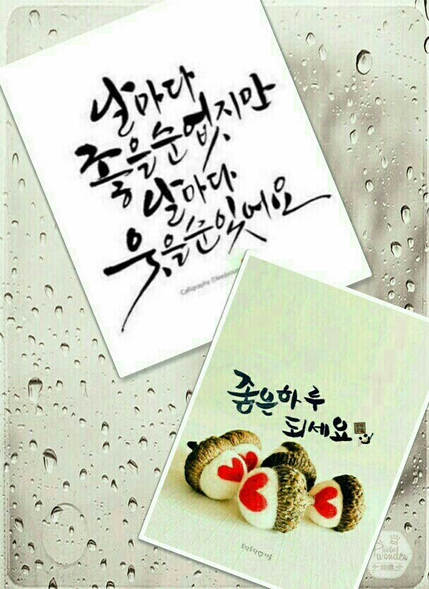 키고 이미지