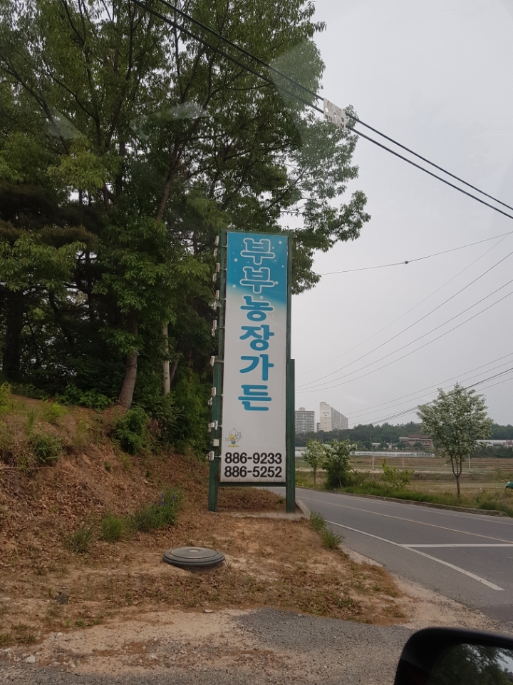 부부가든 이미지