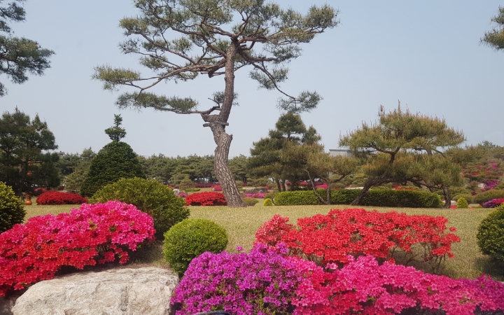 대진요양병원 이미지