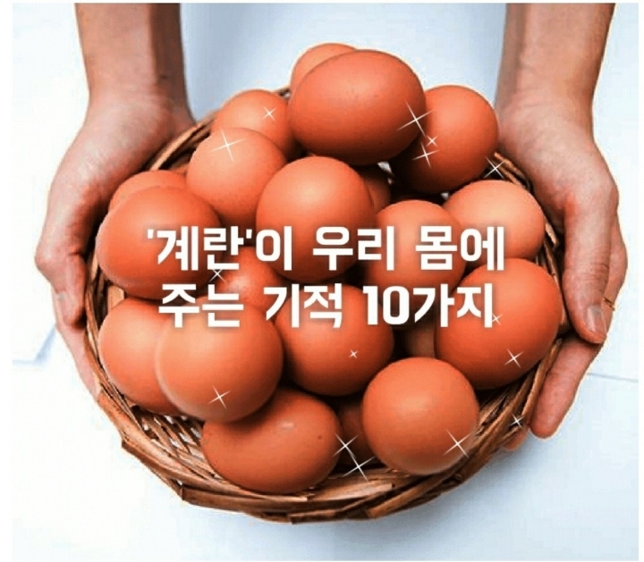 보노 이미지