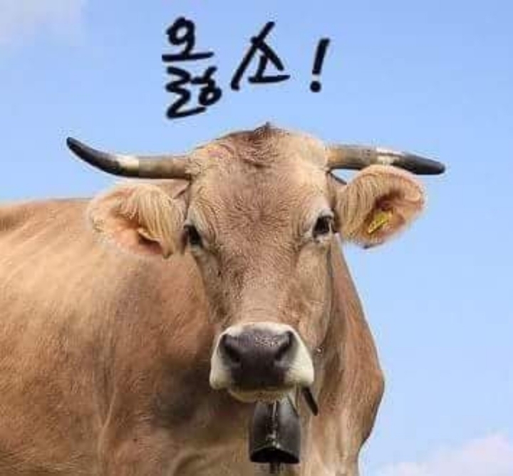 공감 이미지