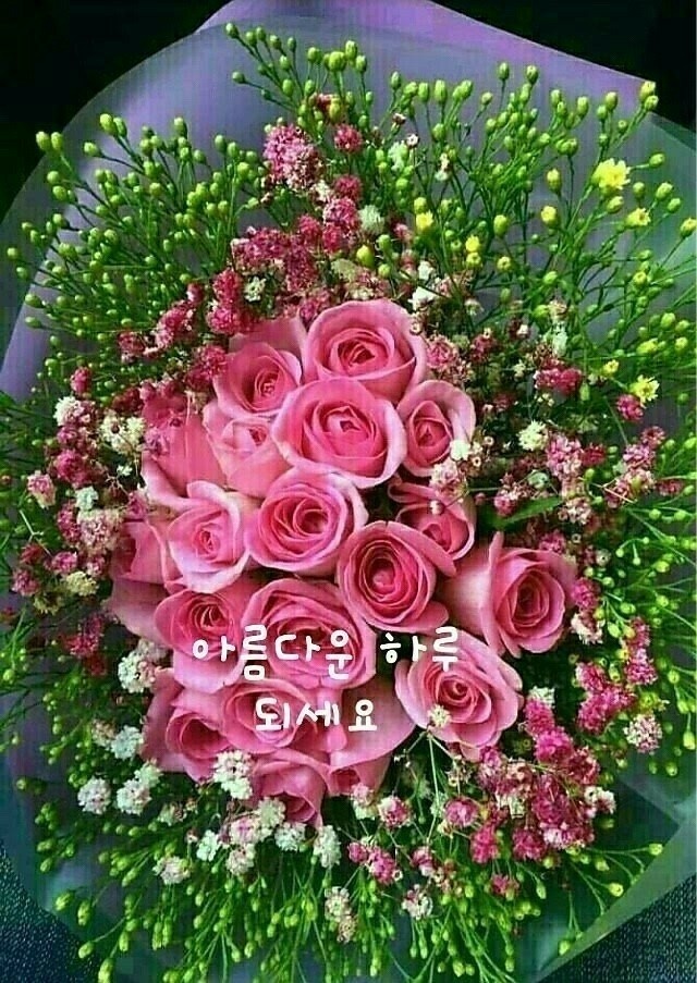 혜경이네 이미지