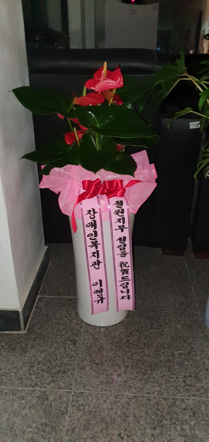 강원도지적발달장애인복지협회 이미지