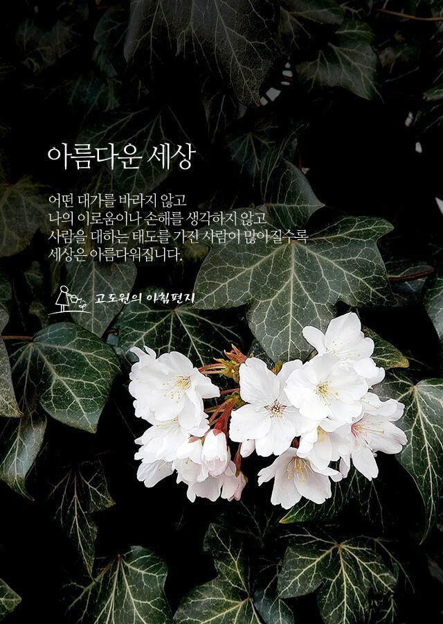 샘물피아노 이미지