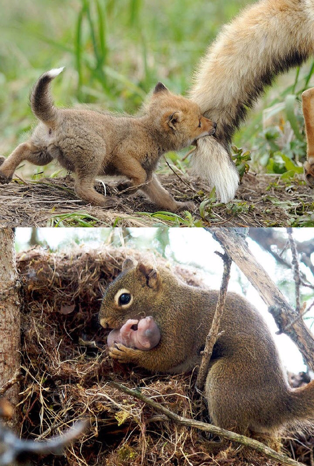 너를 사랑한단다 | 인스티즈