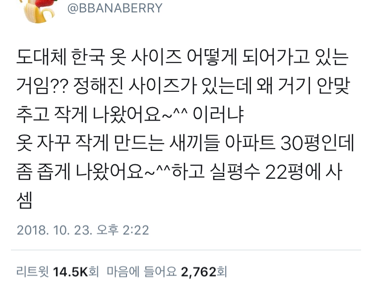 한국 옷 사이즈 이상함.twt | 인스티즈