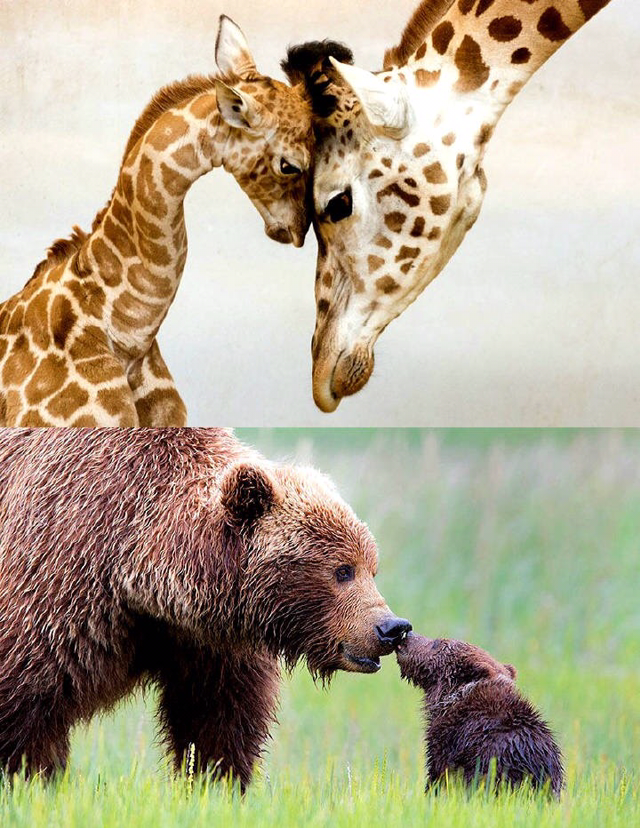 너를 사랑한단다 | 인스티즈