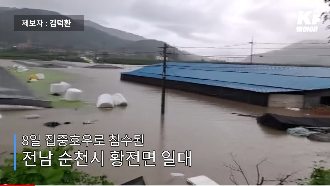 축사에서 물에 떠내려가는 소 같이 구하는 시민들 | 인스티즈