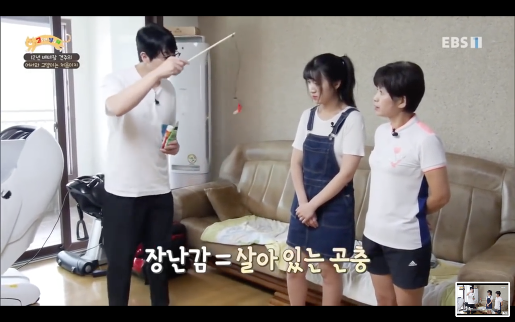 [고양이를부탁해] 고양이도 놀아줘야 할까? | 인스티즈