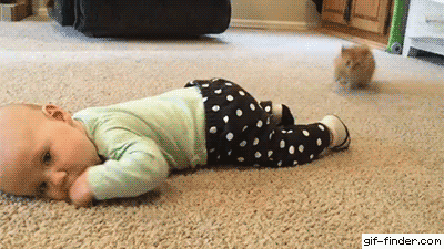 아기 양말이 자꾸 사라지는 이유 | 인스티즈