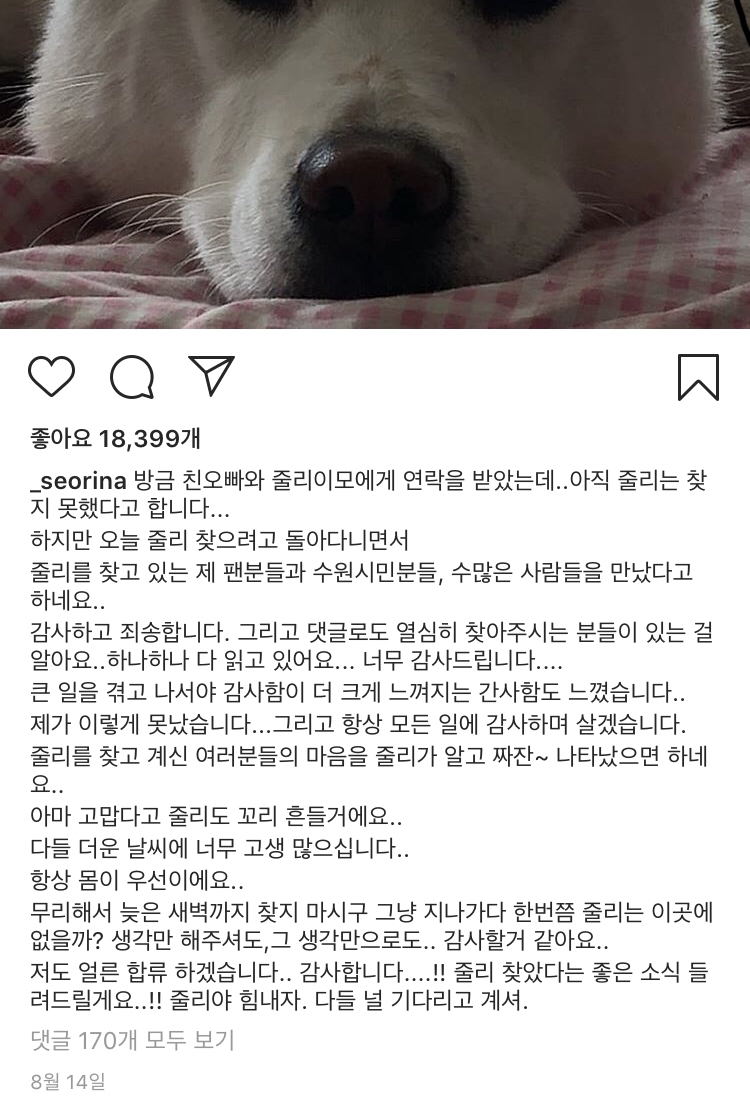 13일만에 잃어버린 반려견 다시 찾은 설인아.jpg | 인스티즈