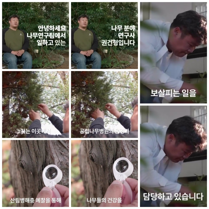 [어떤일하세요?] 나무의사 | 인스티즈