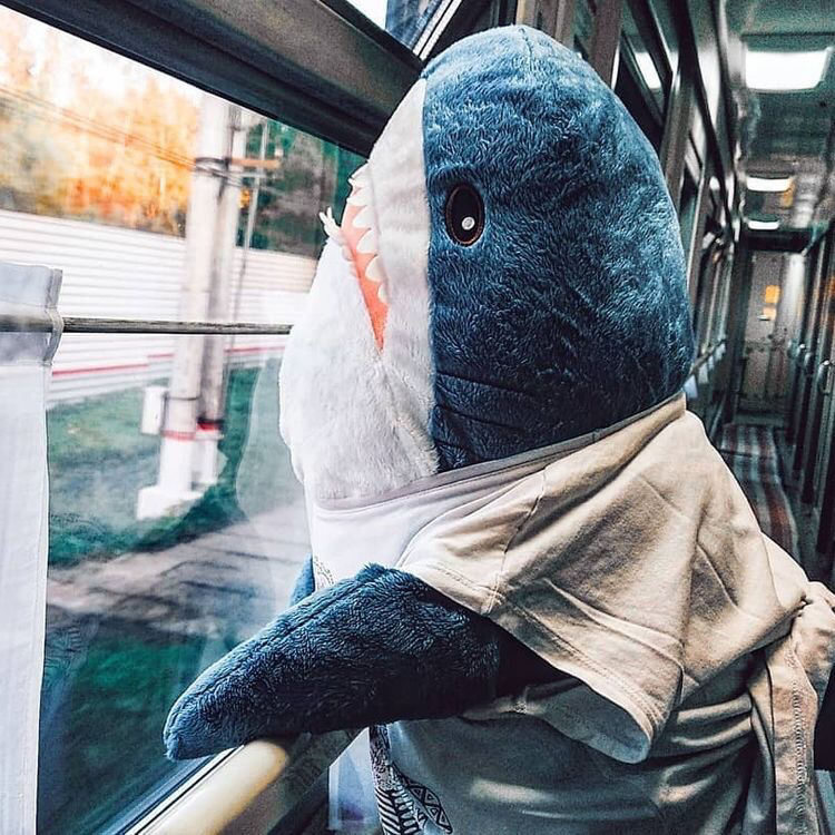 이케아 인기템 상어 인형 | 인스티즈