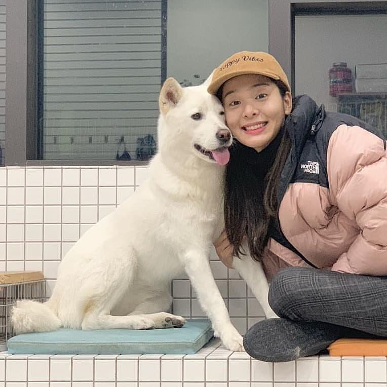 13일만에 잃어버린 반려견 다시 찾은 설인아.jpg | 인스티즈