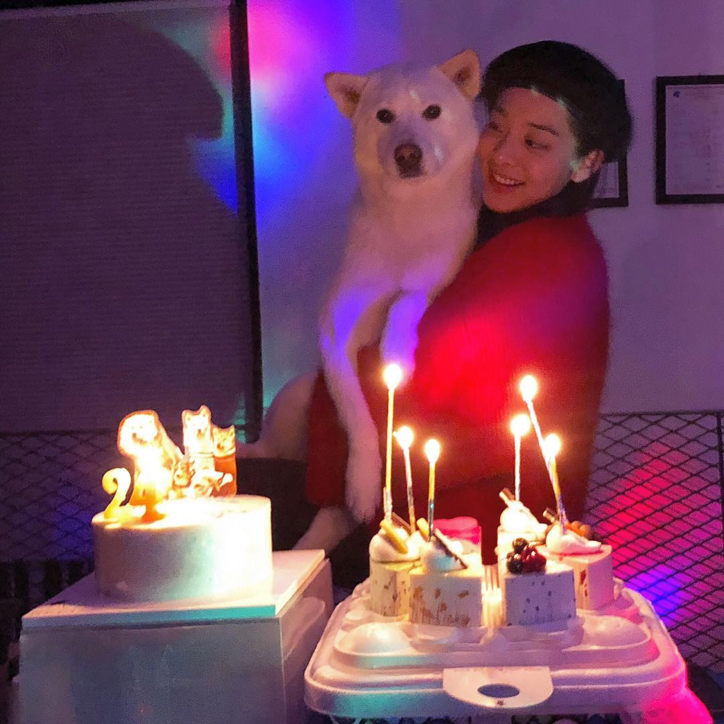 13일만에 잃어버린 반려견 다시 찾은 설인아.jpg | 인스티즈