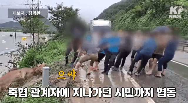 축사에서 물에 떠내려가는 소 같이 구하는 시민들 | 인스티즈