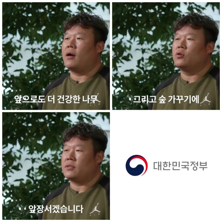 [어떤일하세요?] 나무의사 | 인스티즈