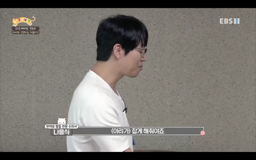 [고양이를부탁해] 고양이도 놀아줘야 할까? | 인스티즈