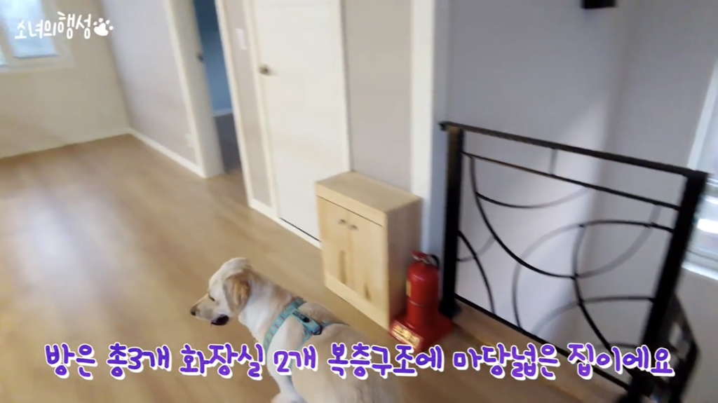 [소녀의행성] 랜선 집들이 | 인스티즈