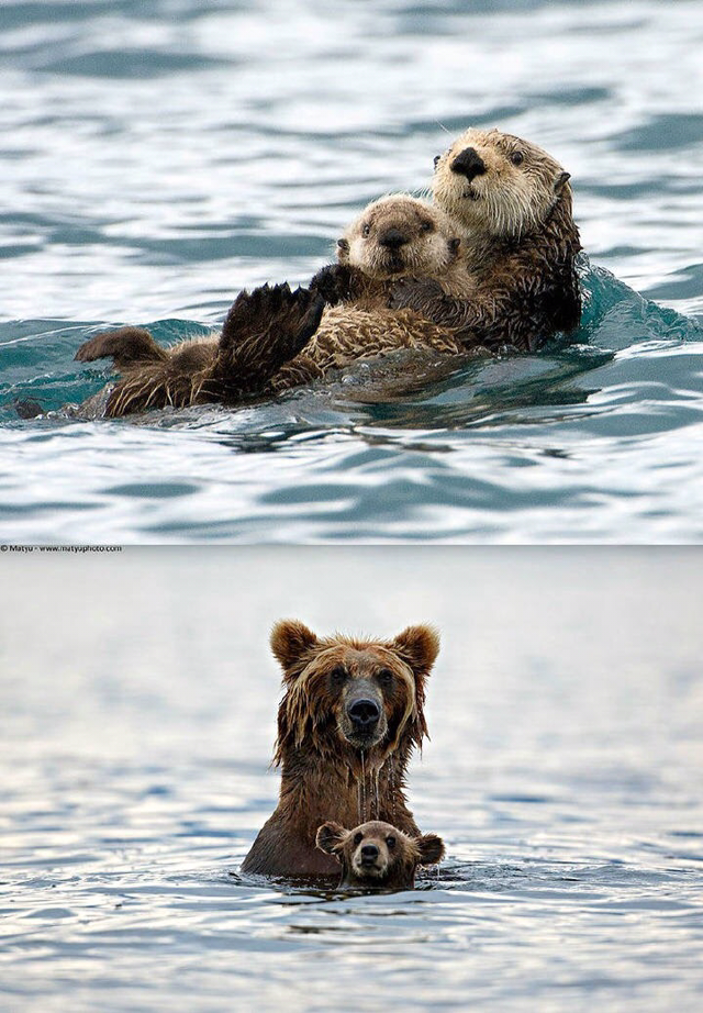 너를 사랑한단다 | 인스티즈