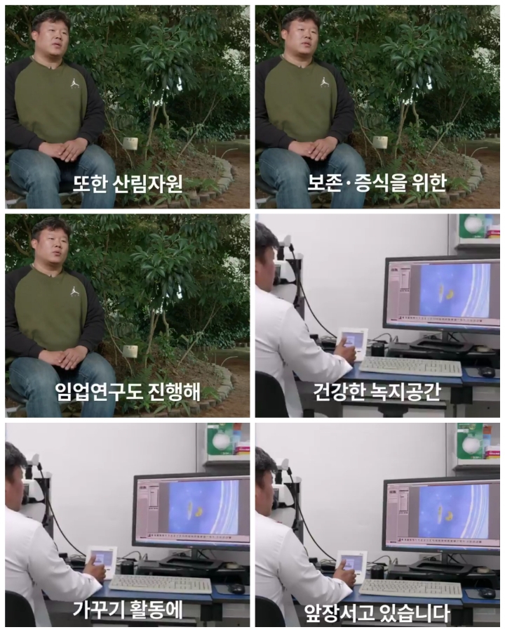 [어떤일하세요?] 나무의사 | 인스티즈