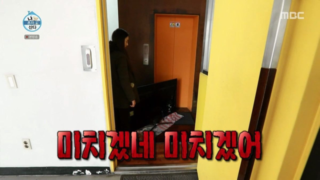 장도연: 우리 언니 안멍청해요!! / 임수향: 우리 언니 바보 아니에요!! | 인스티즈