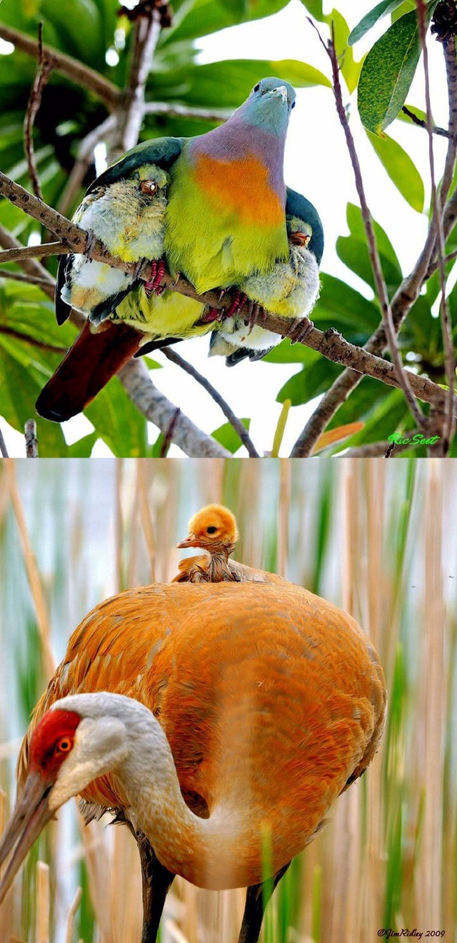 너를 사랑한단다 | 인스티즈