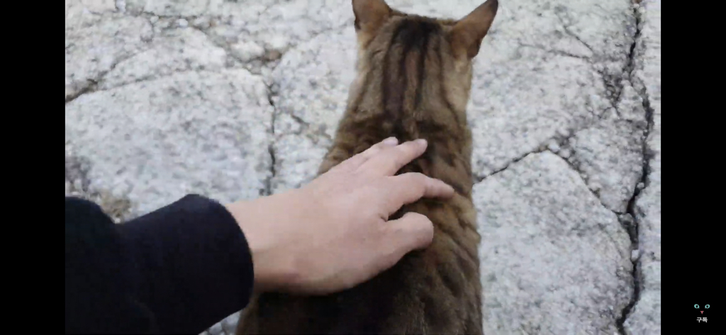 간식 먹기 전이랑 후가 너무 다른 고양이.. 냥성ㄷㄷㄷ | 인스티즈