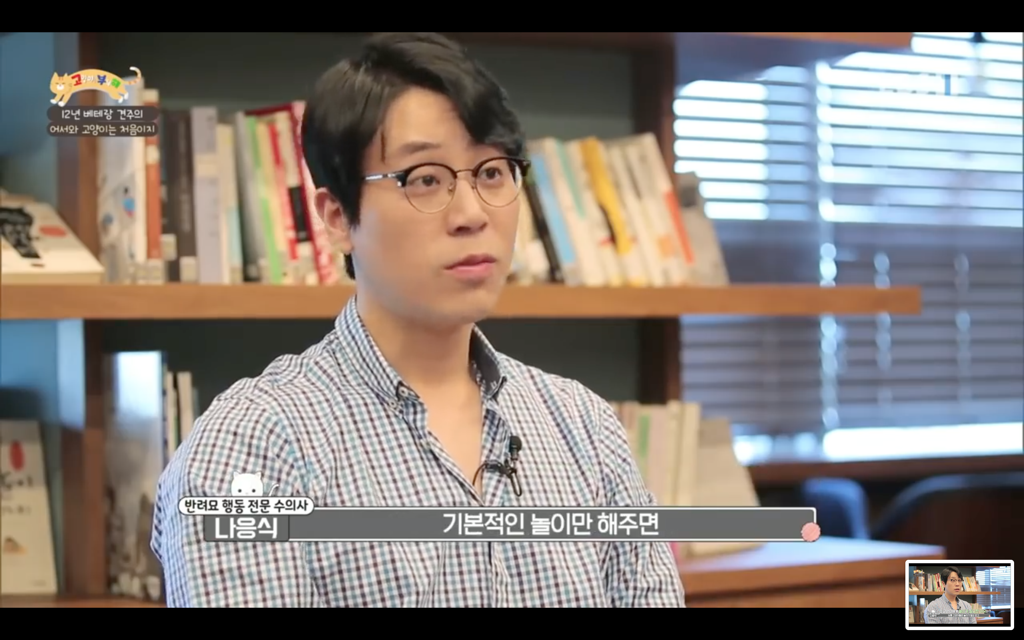 [고양이를부탁해] 고양이도 놀아줘야 할까? | 인스티즈