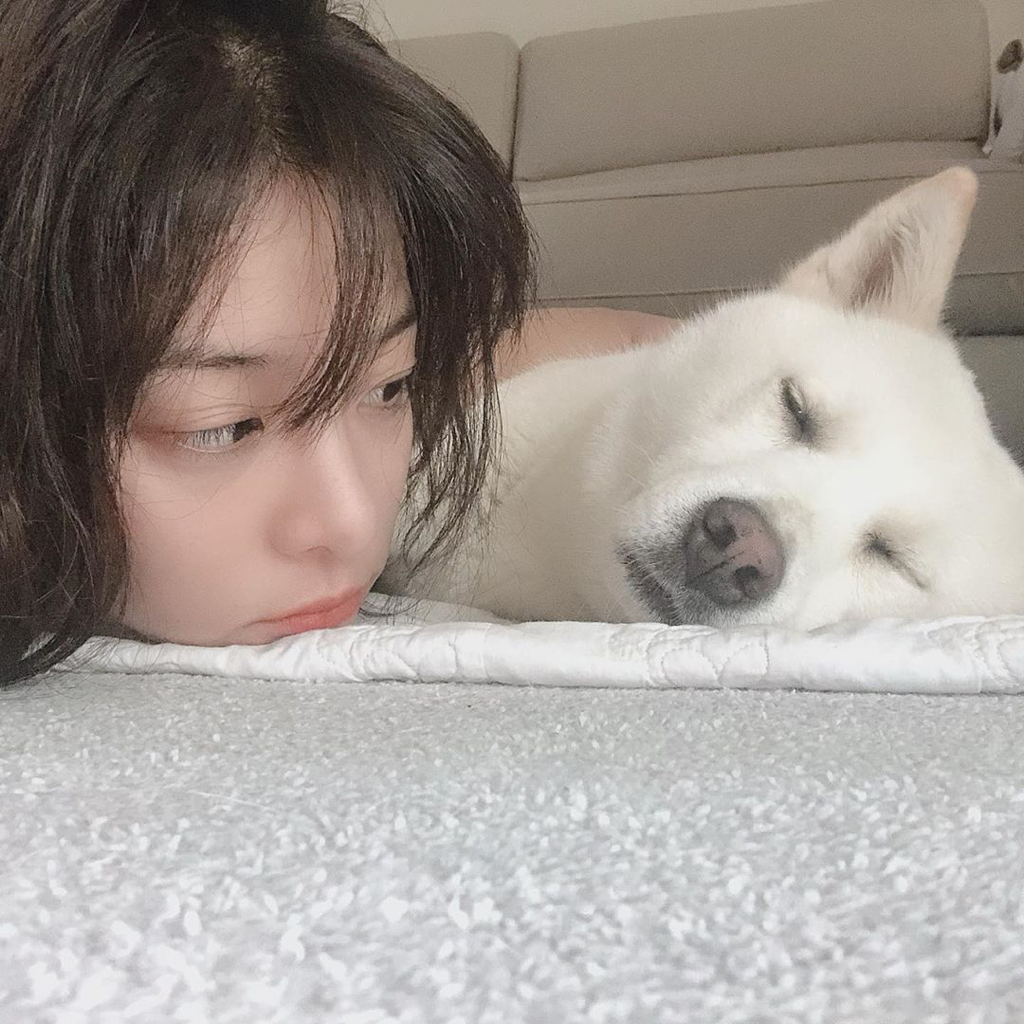 13일만에 잃어버린 반려견 다시 찾은 설인아.jpg | 인스티즈