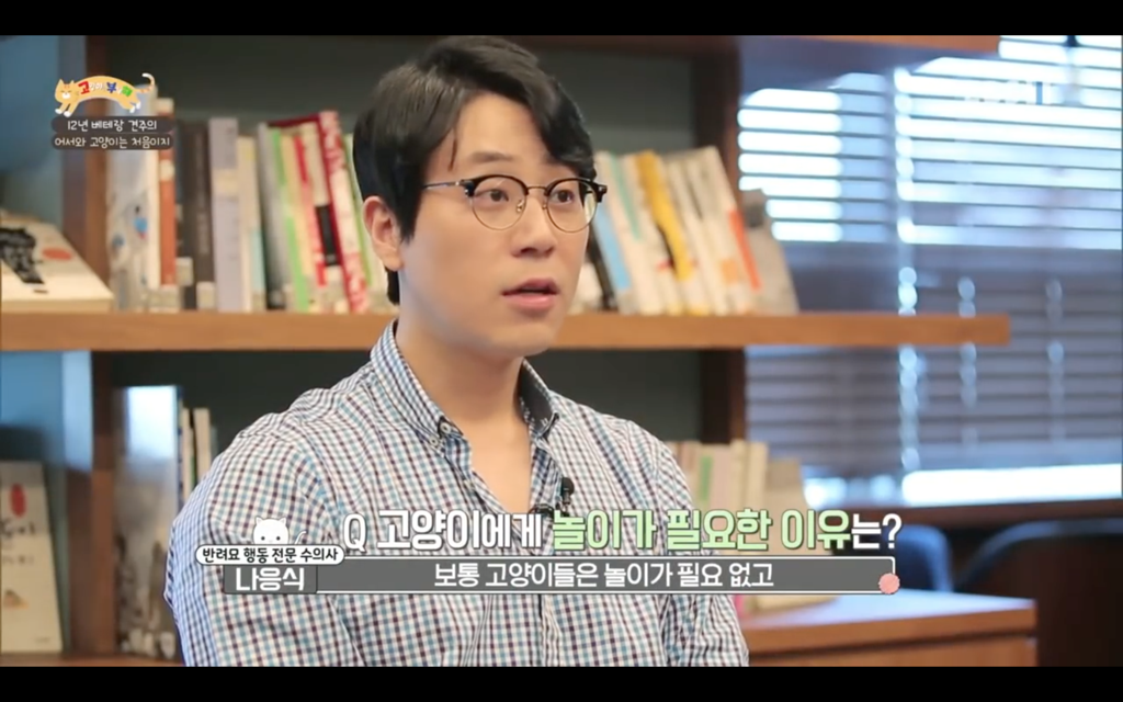 [고양이를부탁해] 고양이도 놀아줘야 할까? | 인스티즈